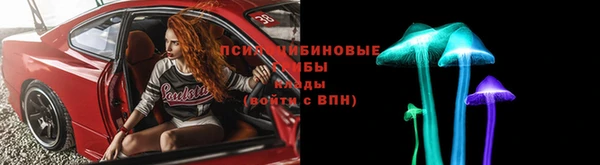 прущий лед Арсеньев