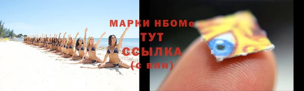 прущий лед Арсеньев