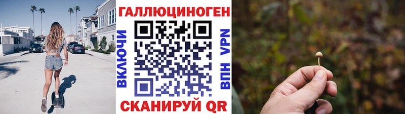 даркнет телеграм  Наволоки  Псилоцибиновые грибы GOLDEN TEACHER 